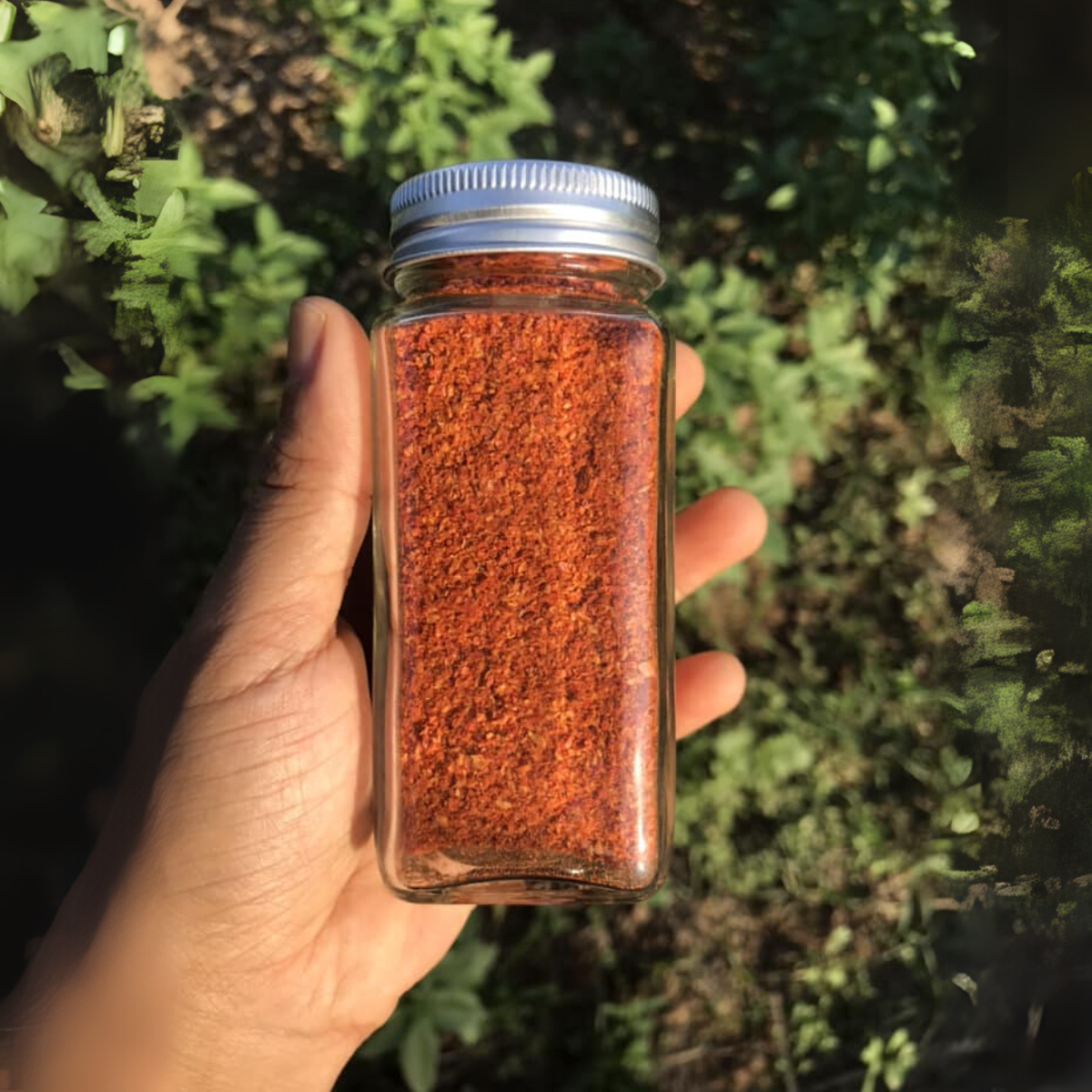 Combo 6 hũ gia vị tự nhiên từ vườn- Tiệm Một Cái Cây - Ảnh 15