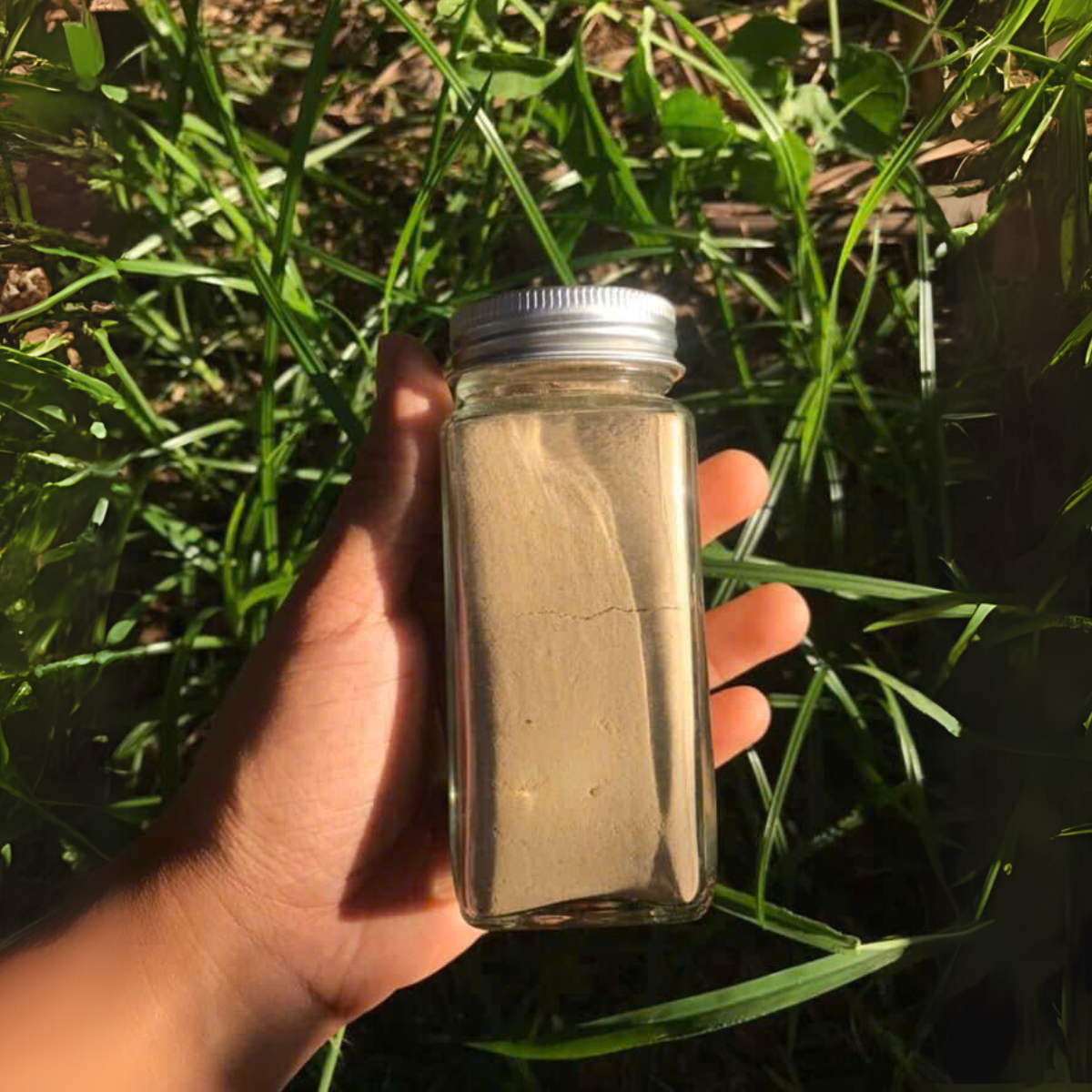 Combo 6 hũ gia vị tự nhiên từ vườn- Tiệm Một Cái Cây - Ảnh 13