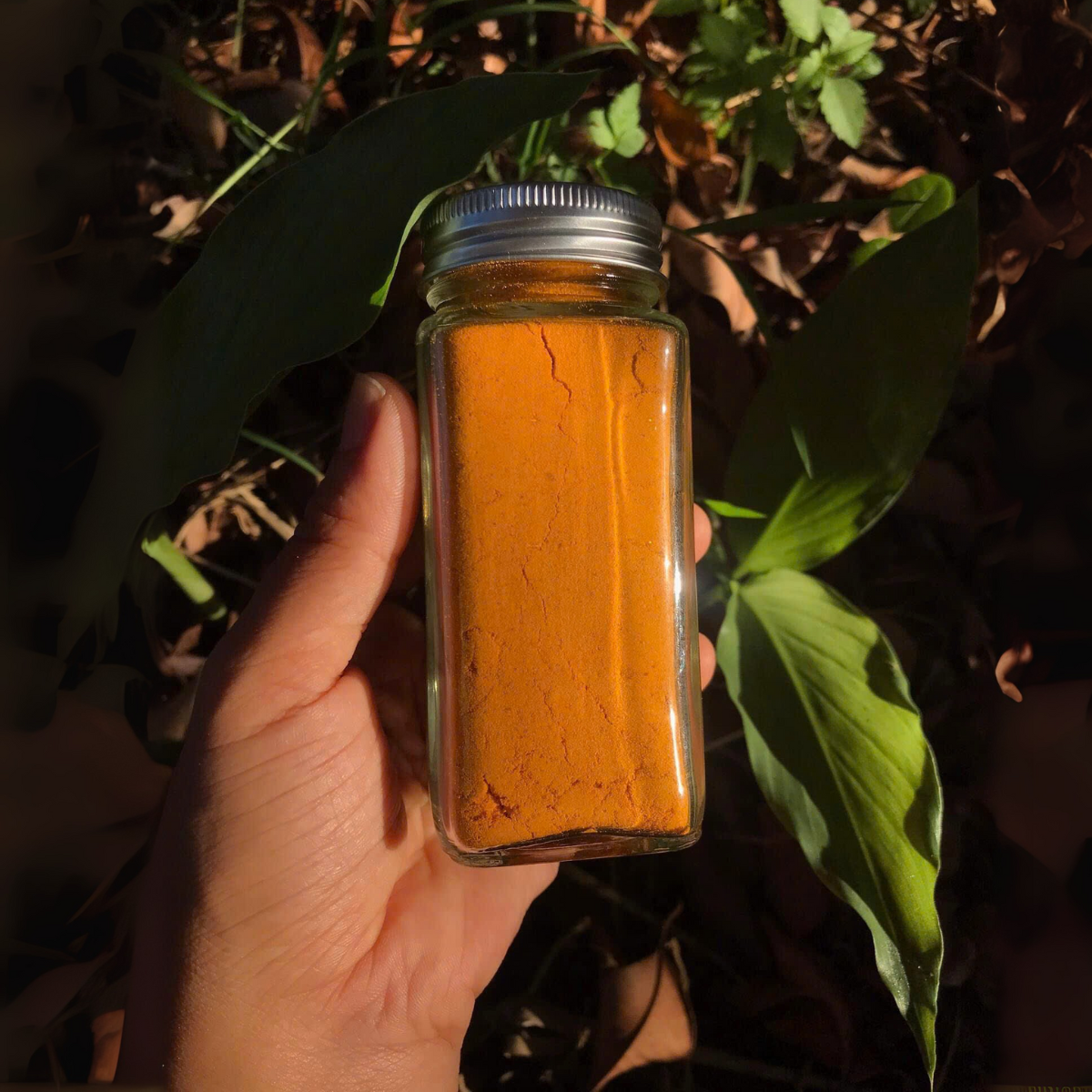 Combo 6 hũ gia vị tự nhiên từ vườn- Tiệm Một Cái Cây - Ảnh 14