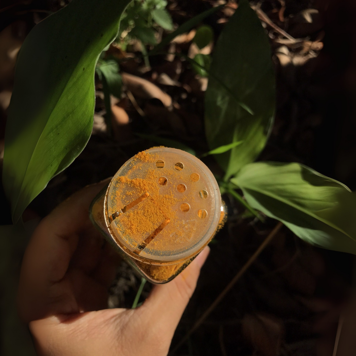 Combo 6 hũ gia vị tự nhiên từ vườn- Tiệm Một Cái Cây - Ảnh 4