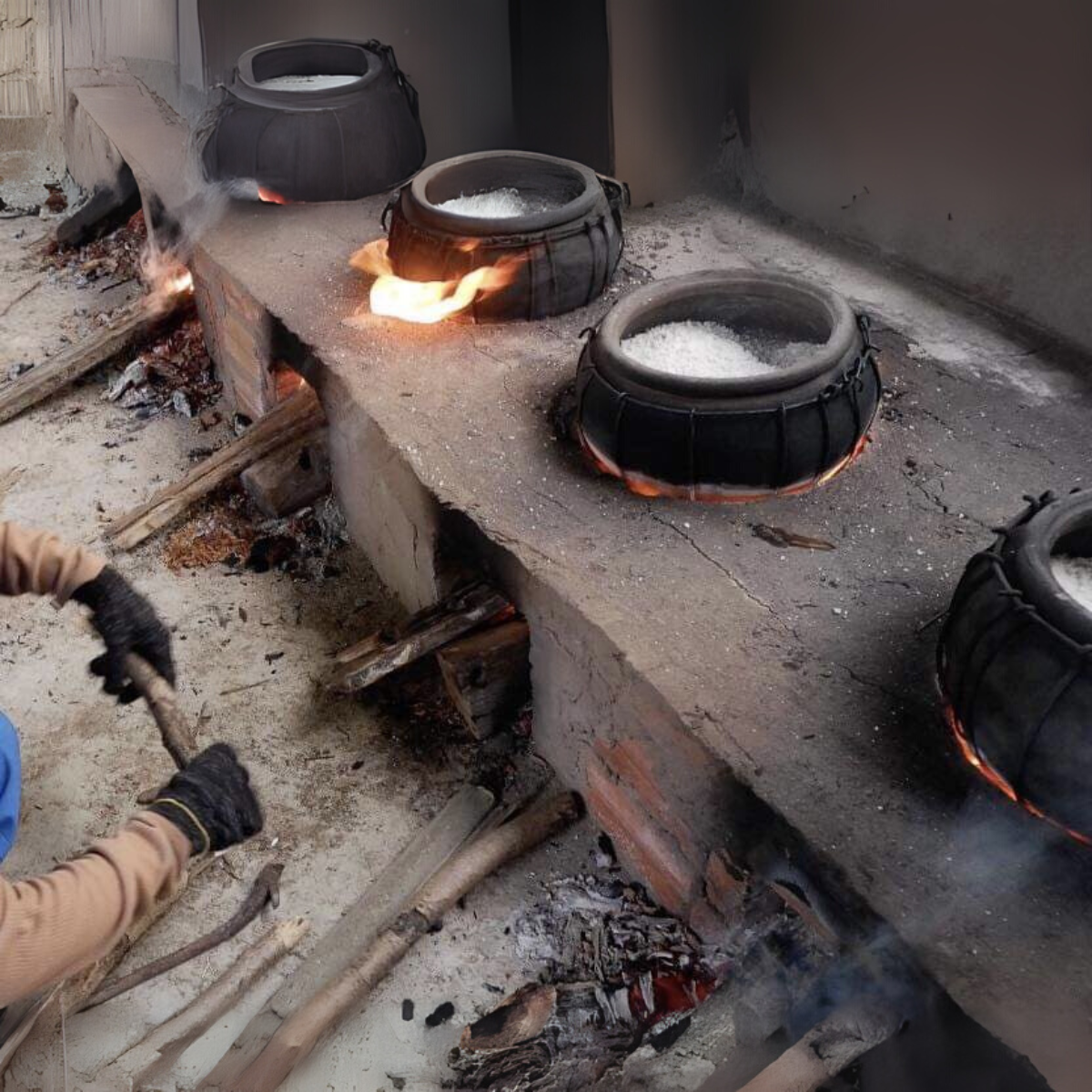 Combo 6 hũ gia vị tự nhiên từ vườn- Tiệm Một Cái Cây - Ảnh 11