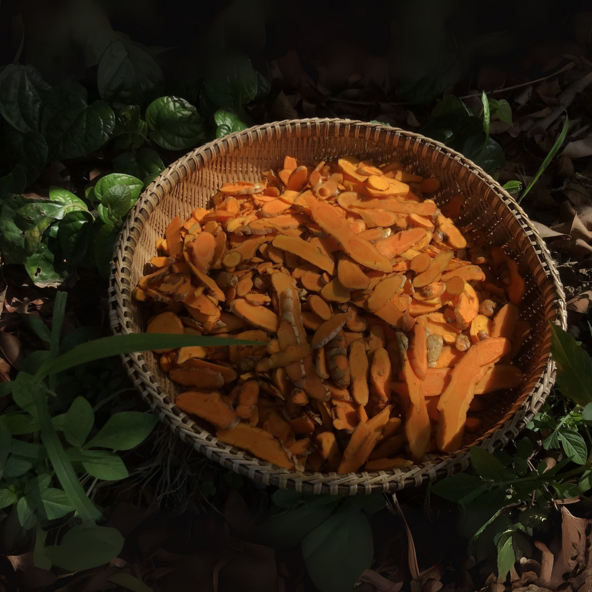 Combo 6 hũ gia vị tự nhiên từ vườn- Tiệm Một Cái Cây - Ảnh 9